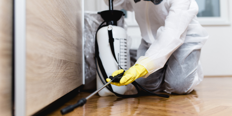 Residential Pest Control in Knoxville, Tennessee